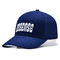 Высококачественная бейсбольная шляпа с 6 панелями с плоским вышивкой логотипа соответствия цвета ткани